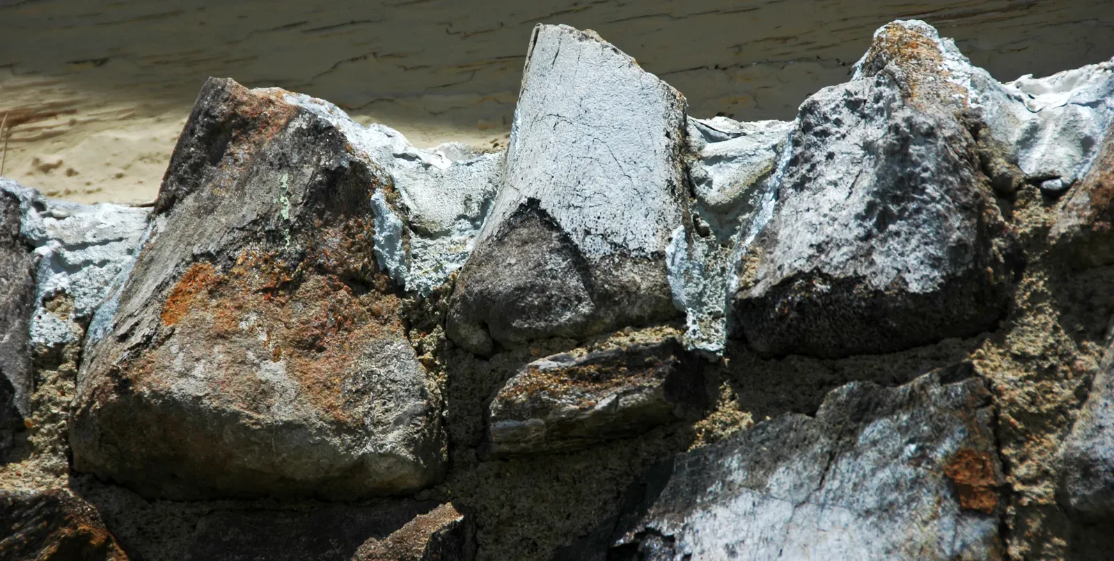 Preserved Evidence Depends on Bone Involvement (Image Credits: Wikimedia)