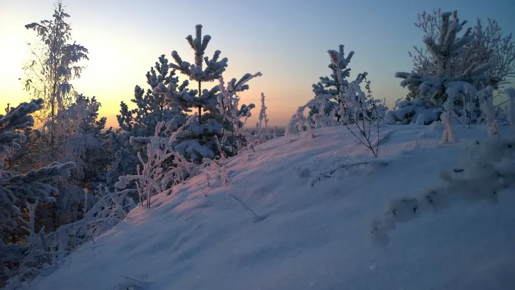 Roots, Rhizomes, and the Permafrost Challenge (Image Credits: Rawpixel)