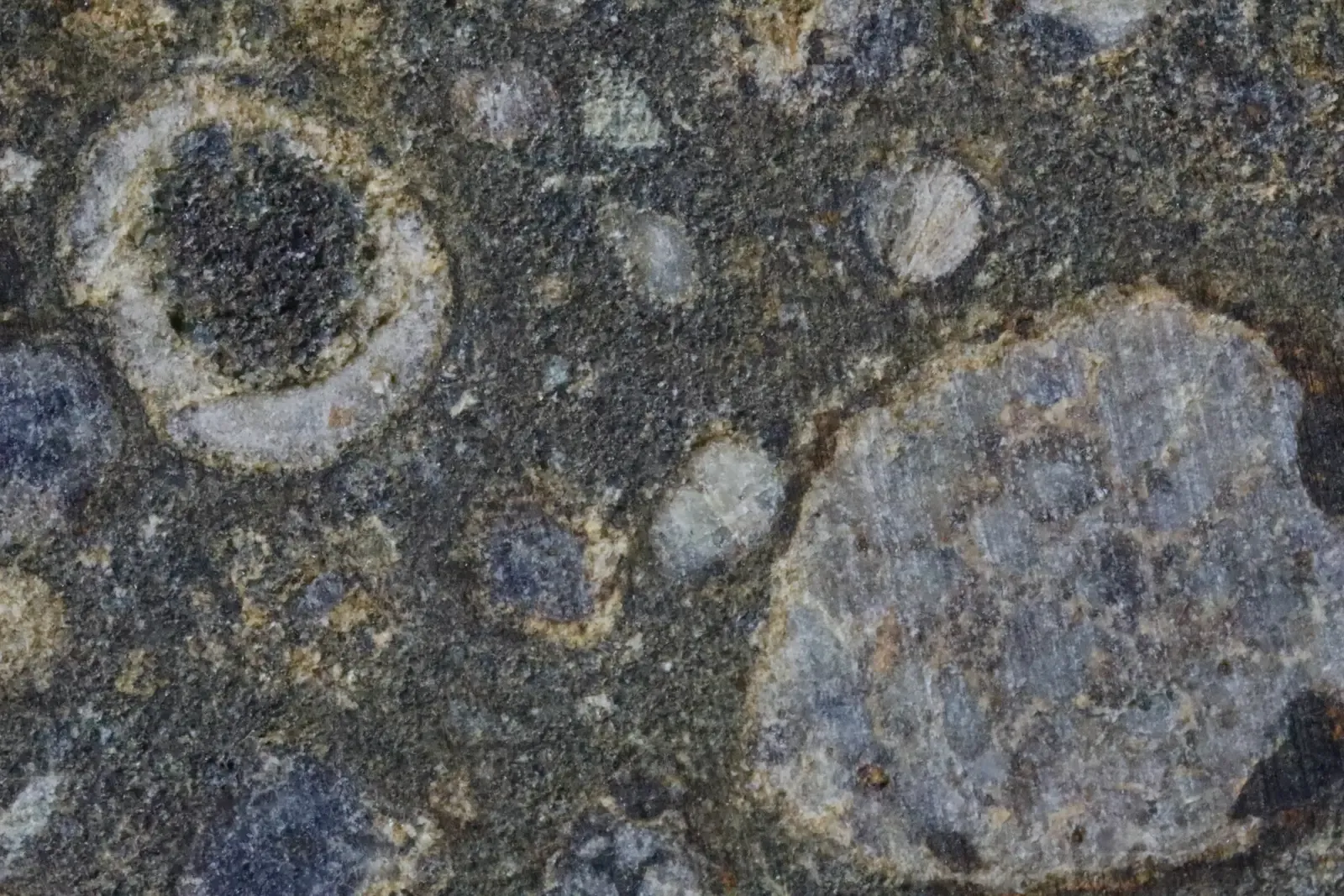 #1 - Where Did Life's Raw Ingredients Actually Come From? (CV3 Carbonaceous Chondrules, CC BY 2.0)