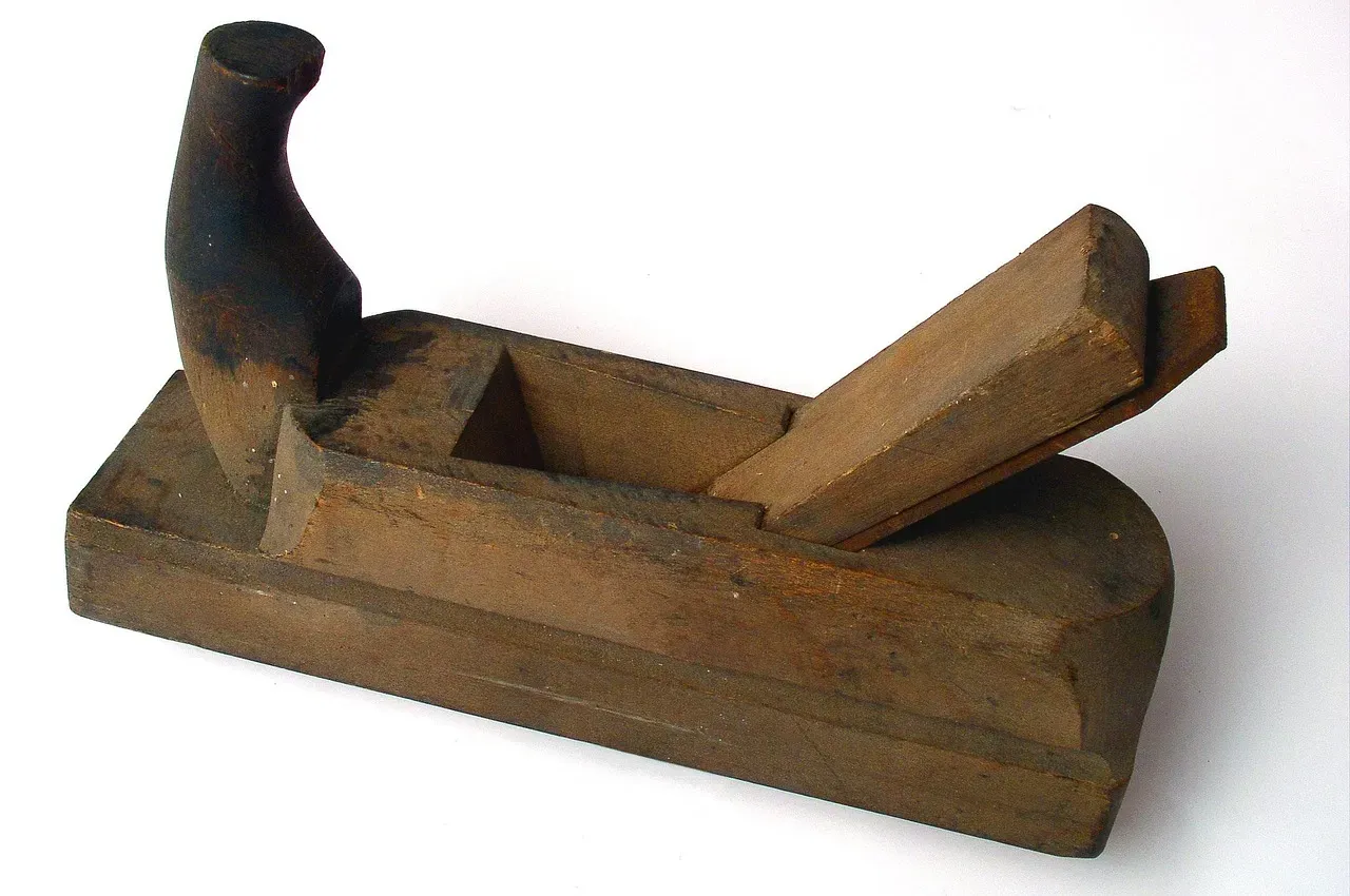 What This Means for Human Evolution (Image Credits: Pixabay)