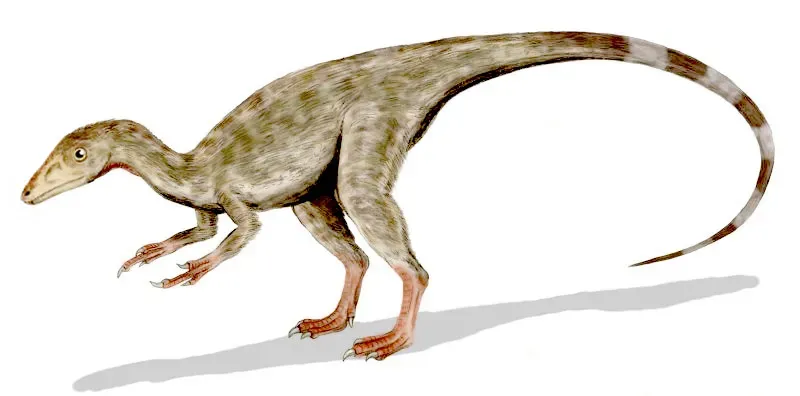 Living Small in a World of Giants (By Nobu Tamura (http://spinops.blogspot.com), CC BY 2.5)