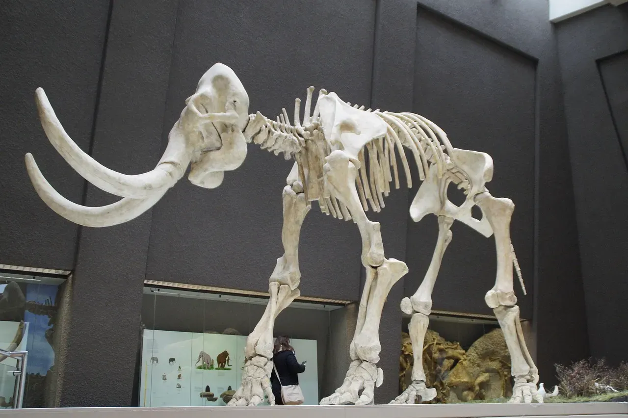 The Great Extinction: What Wiped Out North America's Megafauna? (Image Credits: Pixabay)