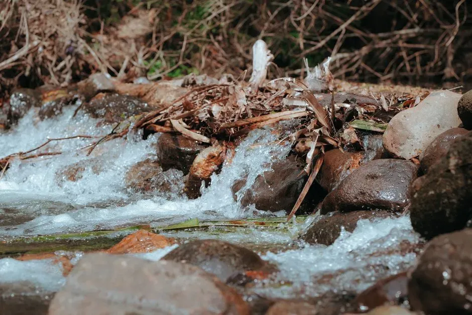 #3 - Water Studies Reveal What's Actually in the Ground (and the Taps) (Image Credits: Pexels)