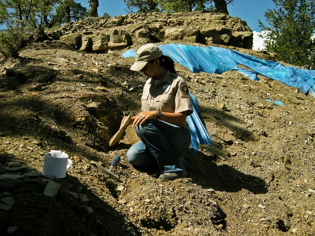 Excavation: Patience Measured in Hours and Days (Image Credits: Flickr)