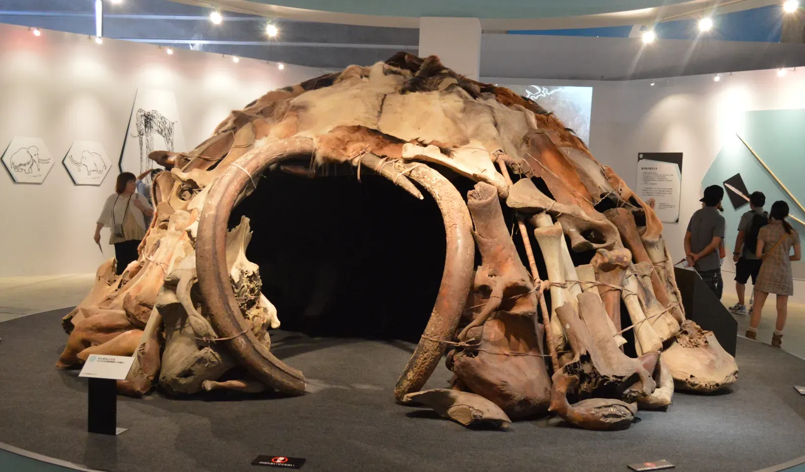 Ancient European Civilizations and the Woolly Mammoth: Bones as Building Blocks (By Nandaro, CC BY-SA 3.0)