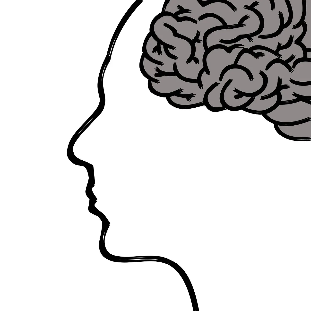 Growing Your Brain's Gray Matter (Image Credits: Pixabay)