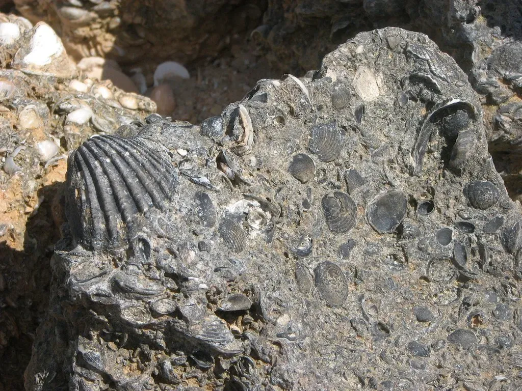 Clues Hidden in the Rocks: Reading Ancient Environments (Harclade, Flickr, CC BY-SA 2.0)