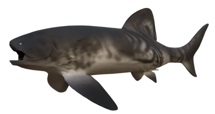 Titanichthys: The Gentle Giant Filter Feeder (Image Credits: Wikimedia)