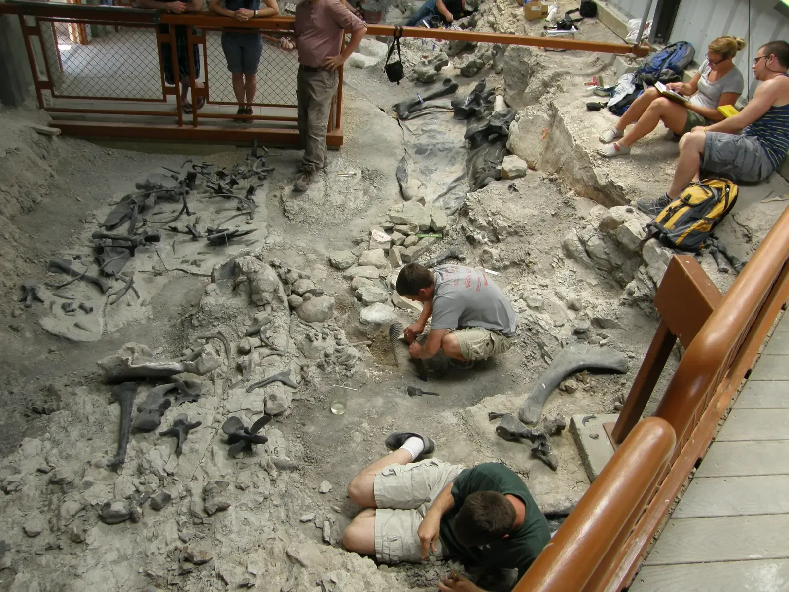 Conclusion: Building Your Paleontology Toolkit, One Field Day at a Time (Connecting People to Their Public Lands, Public domain)