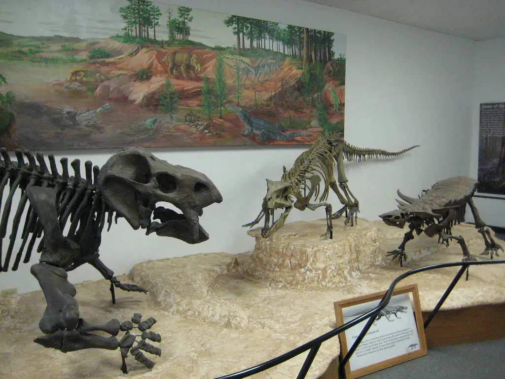 Both Groups Started at the Same Time (Image Credits: Flickr)