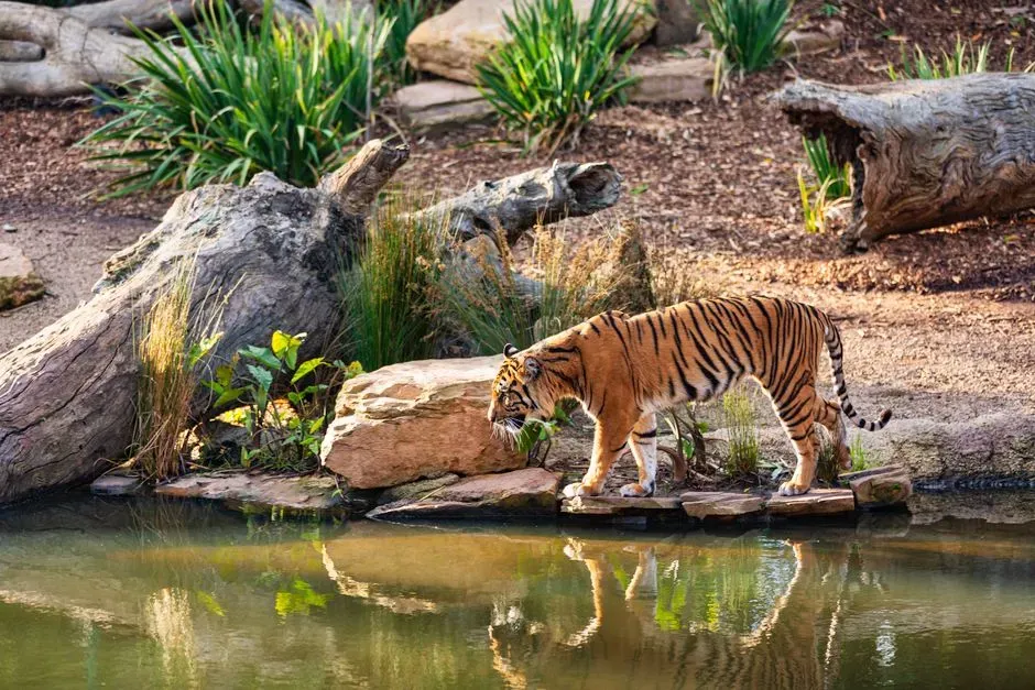 8. Region-Specific Foods Erased With Their Ecosystems (Image Credits: Pexels)