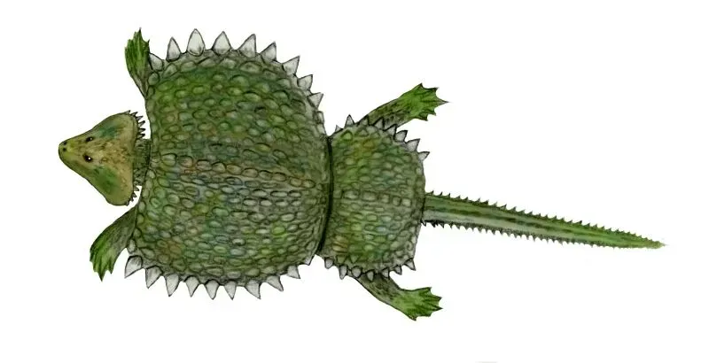 Placodonts: The Shell-Crushing Oddities (Image Credits: Wikimedia)