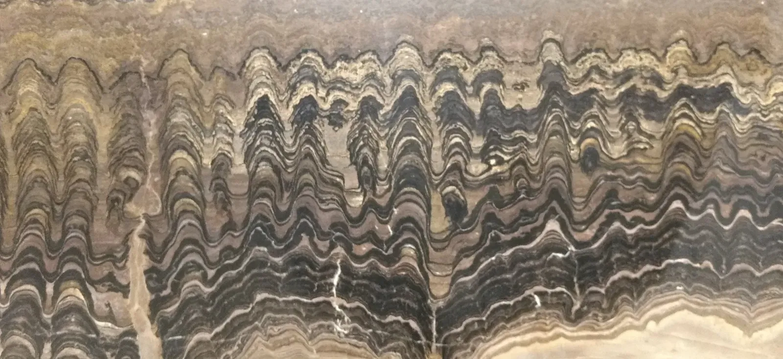 The Great Oxidation Event: When Microbes Changed Everything (By L. Shyamal, CC0)