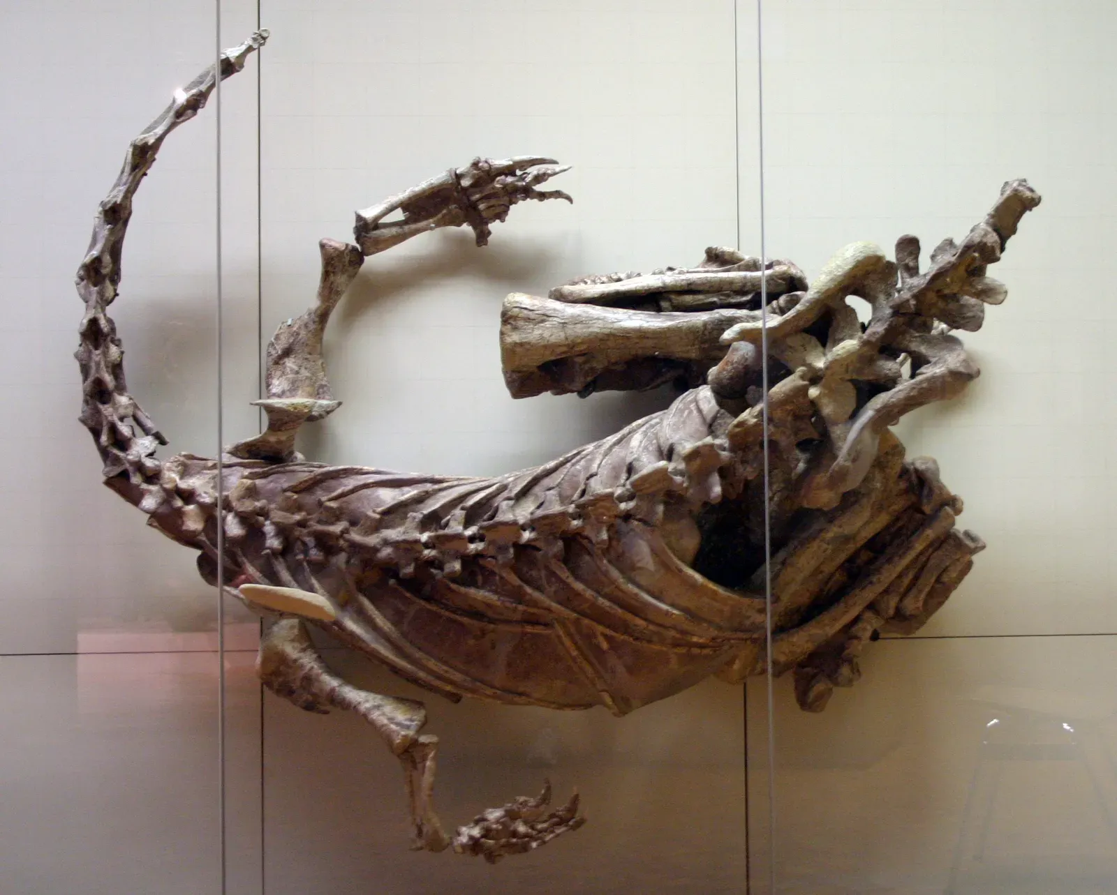 6. A Dinosaur Fossil Discovered Deep Under the North Sea by Oil Drillers (Image Credits: Wikimedia)