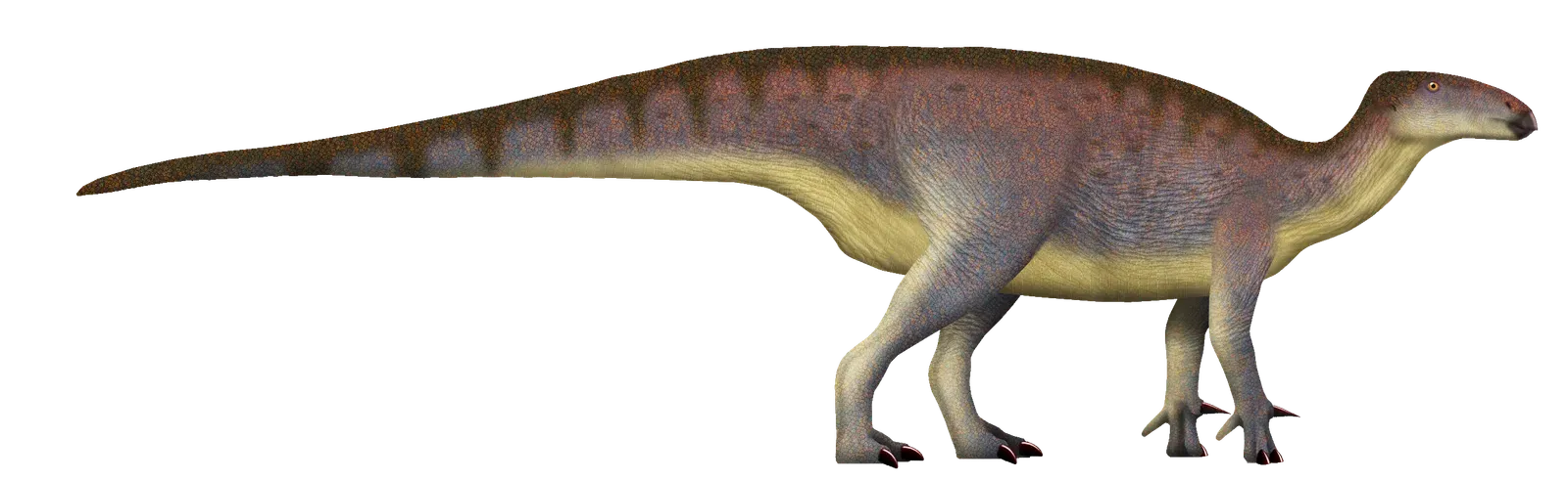 7. Tenontosaurus: The Prey That Defined an Ecosystem (Image Credits: Wikimedia)