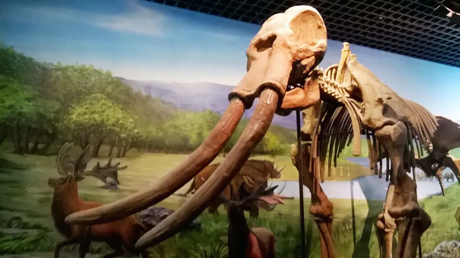 #1 - The Straight-Tusked Elephant: The Colossus of Early Europe (By 三猎, CC BY-SA 4.0)