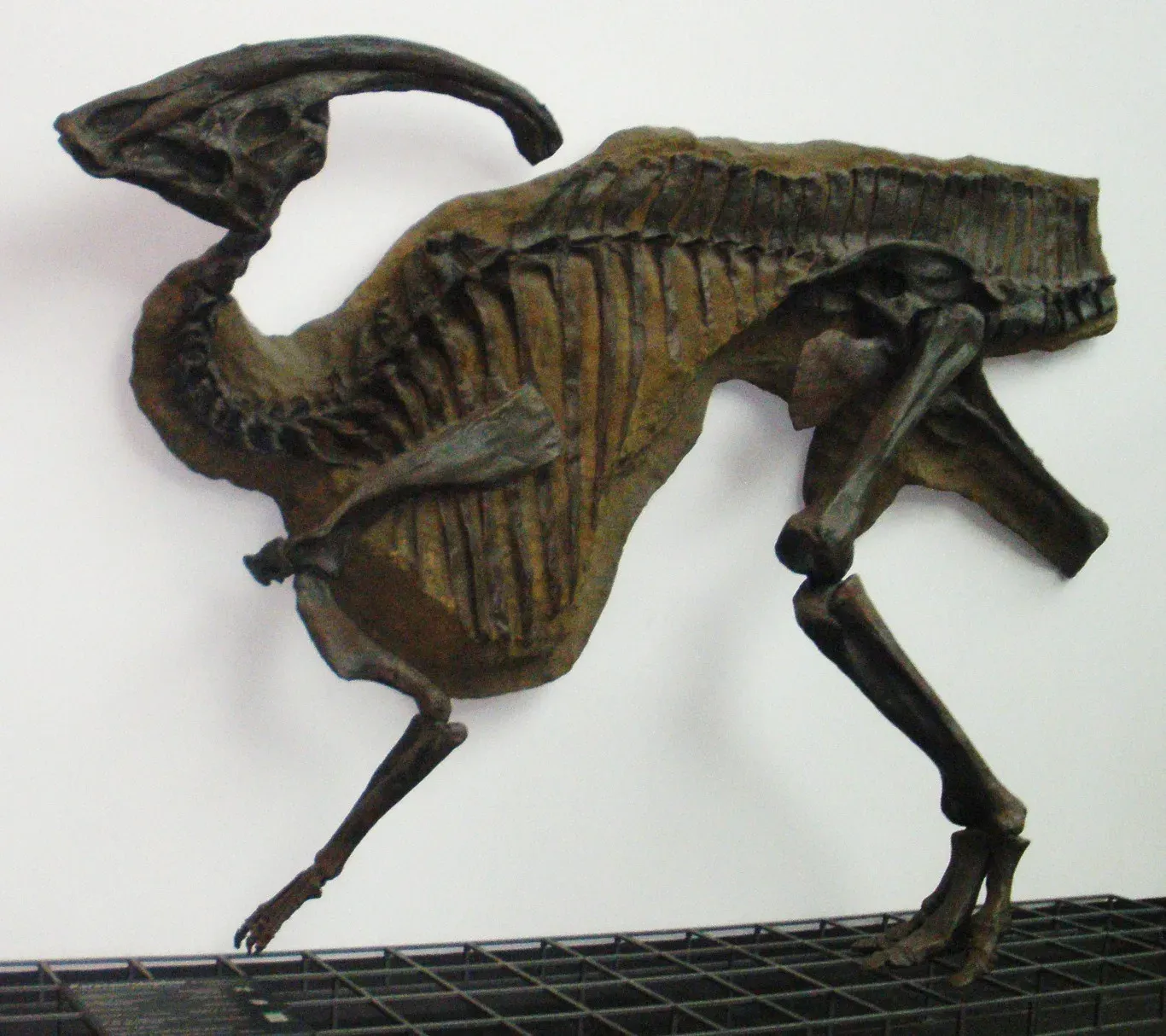 How CT Scans Turned a Fossil Into a Virtual Horn (By Ghedoghedo, CC BY-SA 3.0)