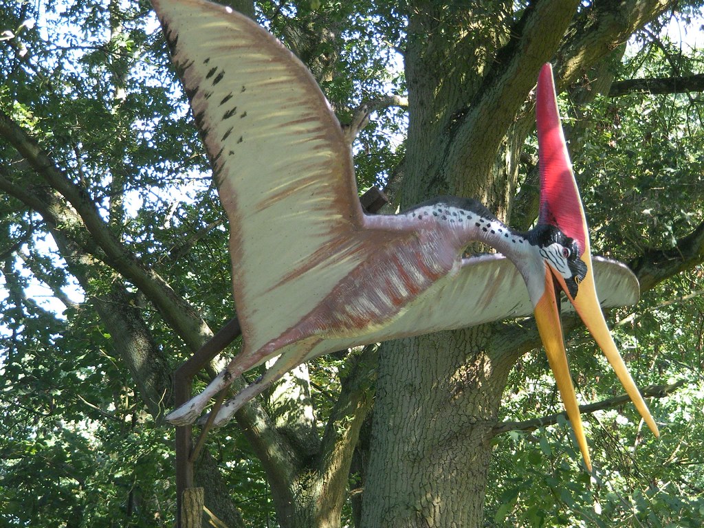 Gemini: The Graceful Pteranodon (Image Credits: Flickr)
