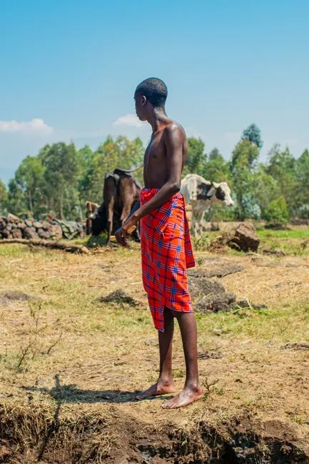 10. Cattle Symbolize Continuity, but the Future Demands Difficult Choices (Image Credits: Pexels)
