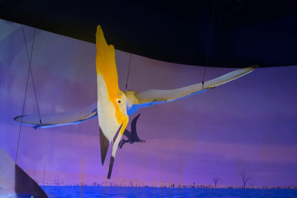 5. Tapejara – The Crested Show-Off With a Likely Taste for Fruit (Tim Evanson, Flickr, CC BY-SA 2.0)