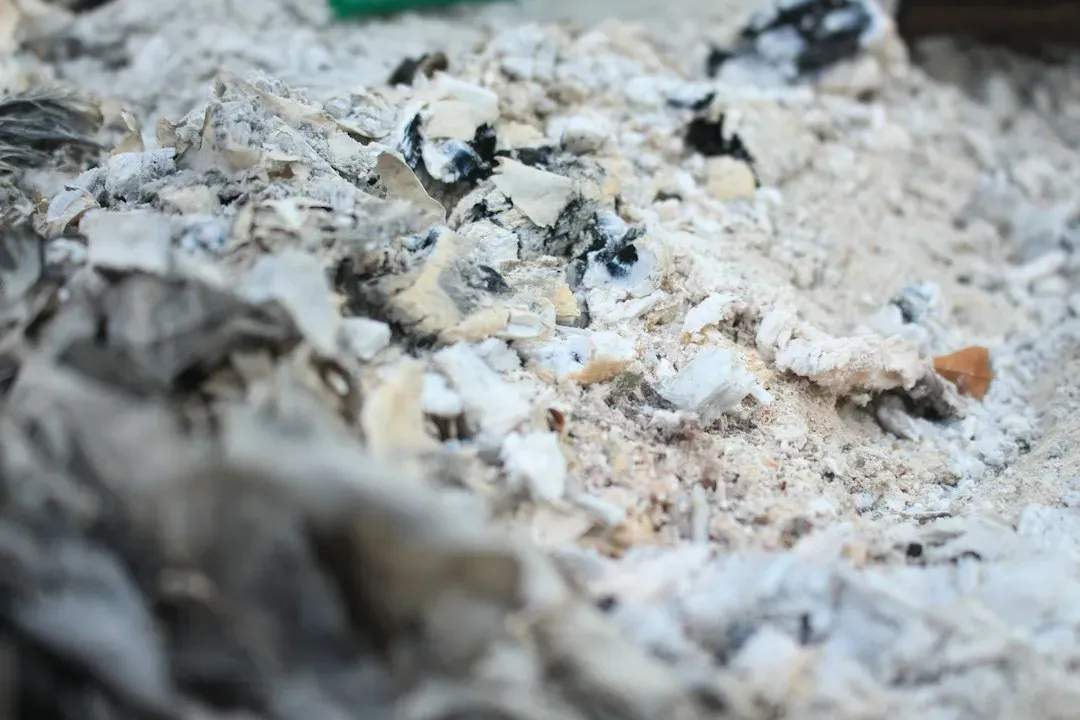 #14 Pollution Layers, Ash, and Disaster Debris (Image Credits: Unsplash)
