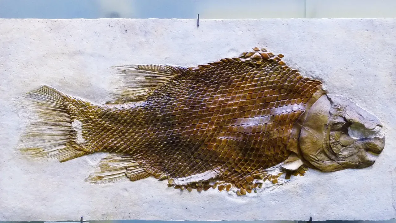 #6 - The Fish That Was Secretly a Scientific Prank (Image Credits: Pixabay)