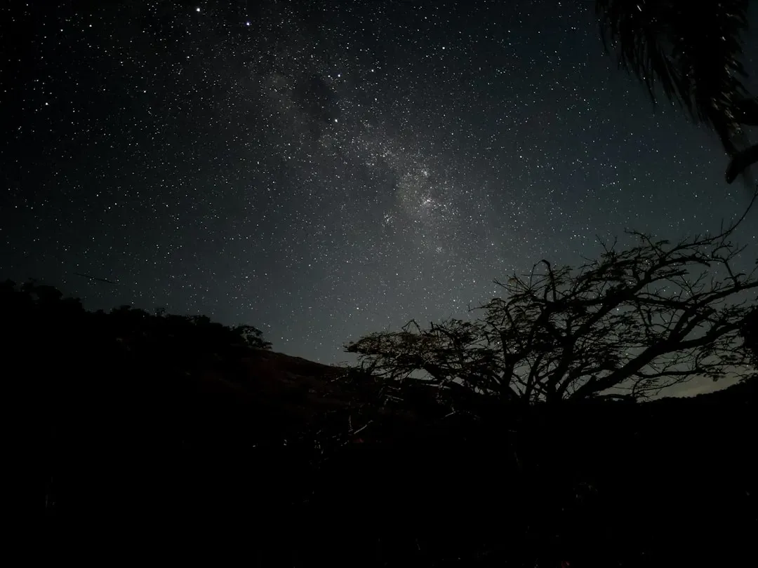 African Tribes and the Stars That Shaped Their Societies (Image Credits: Unsplash)
