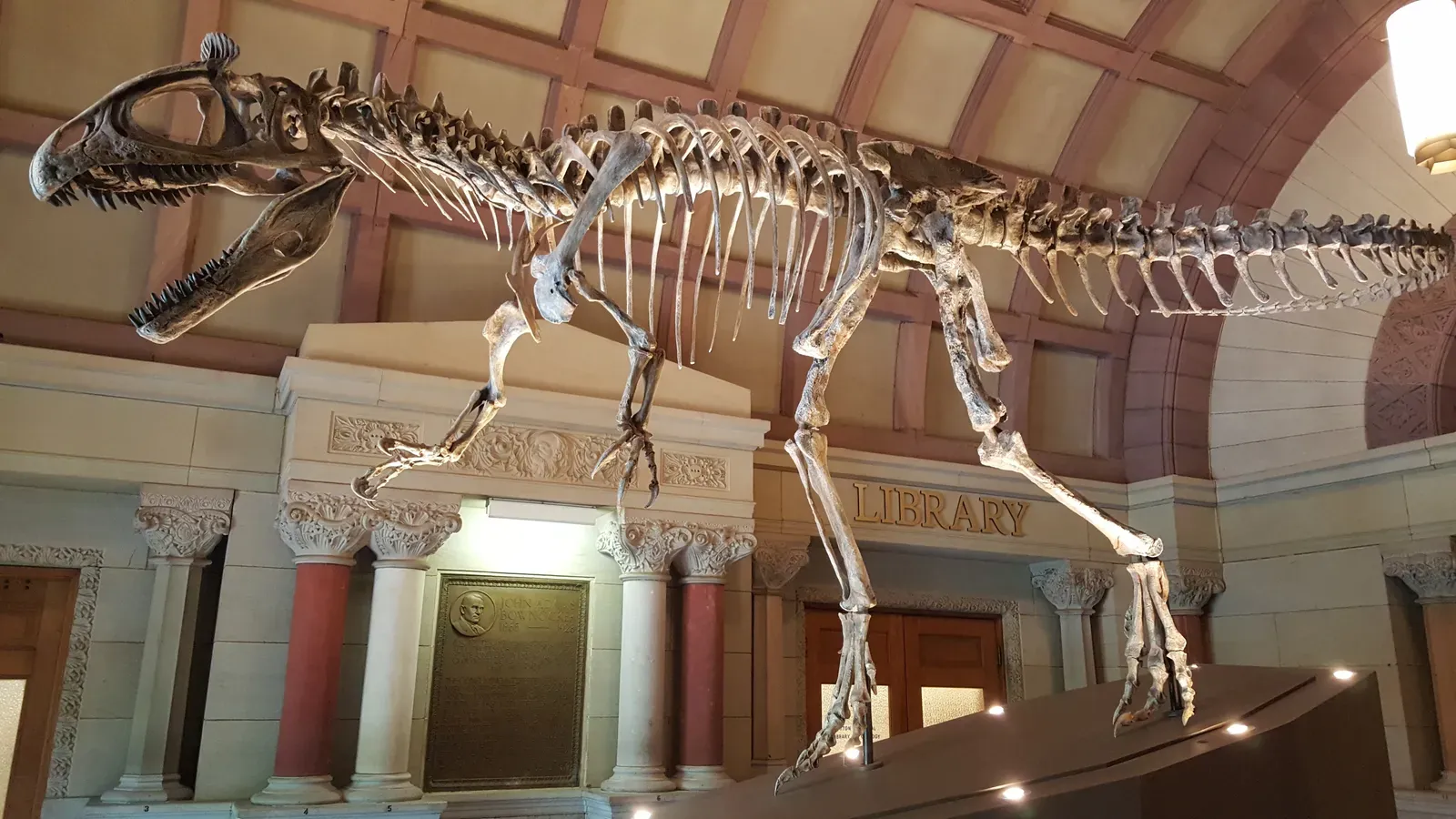 A Jurassic Predator Found Near the South Pole (By Cbusram, CC BY-SA 4.0)