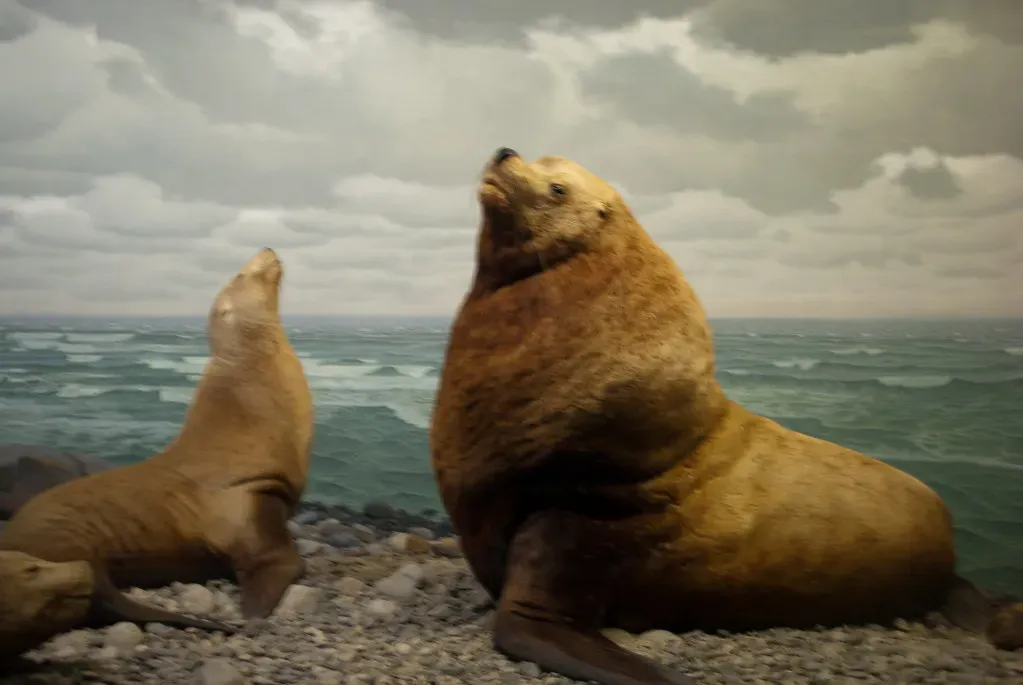 The Warmth Within: Endothermy and the Power of Self-Generated Heat (shri_ram_r, Flickr, CC BY 2.0)