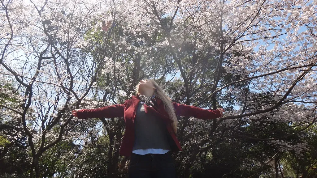 Final Thoughts: Breaking Free from Your Own Mental Traps (Image Credits: Flickr)