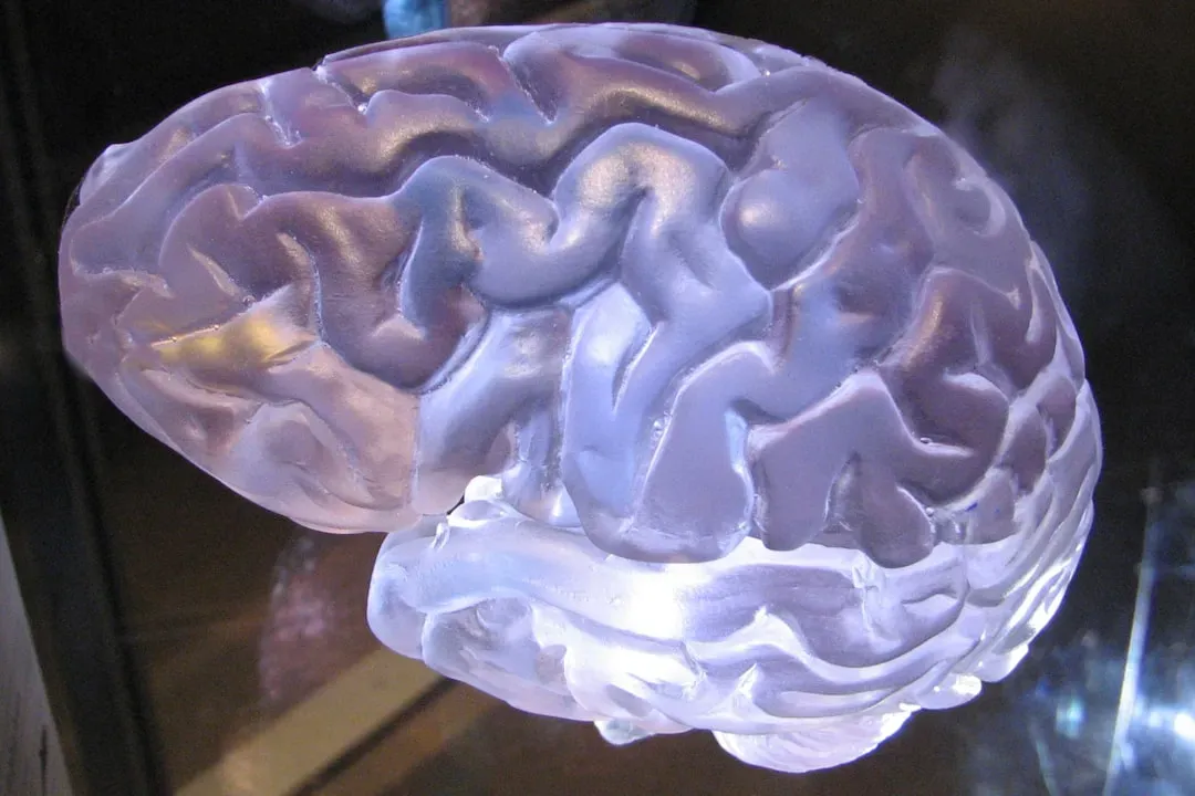 Your Brain's Clever Three-Step Dance (Image Credits: Unsplash)