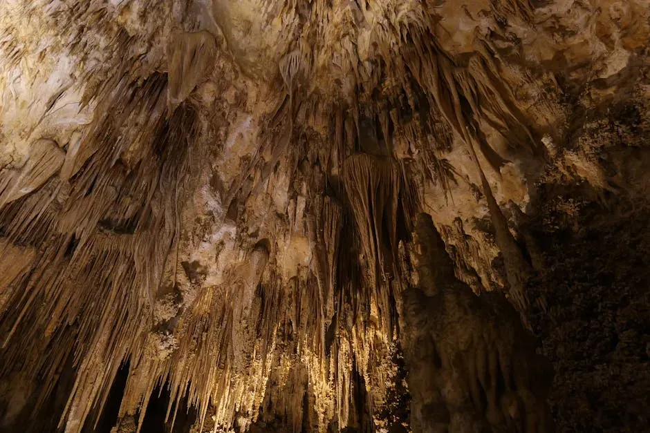 8. Carlsbad Caverns National Park, New Mexico - Acid-Carved Underground Chambers (Image Credits: Pexels)
