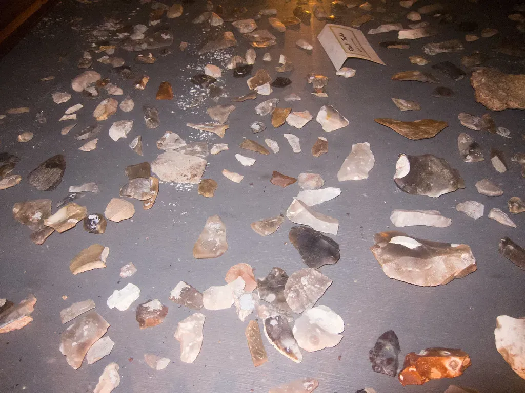 The Oldest Tools on Earth: A Timeline That Keeps Shifting (quinet, Flickr, CC BY 2.0)