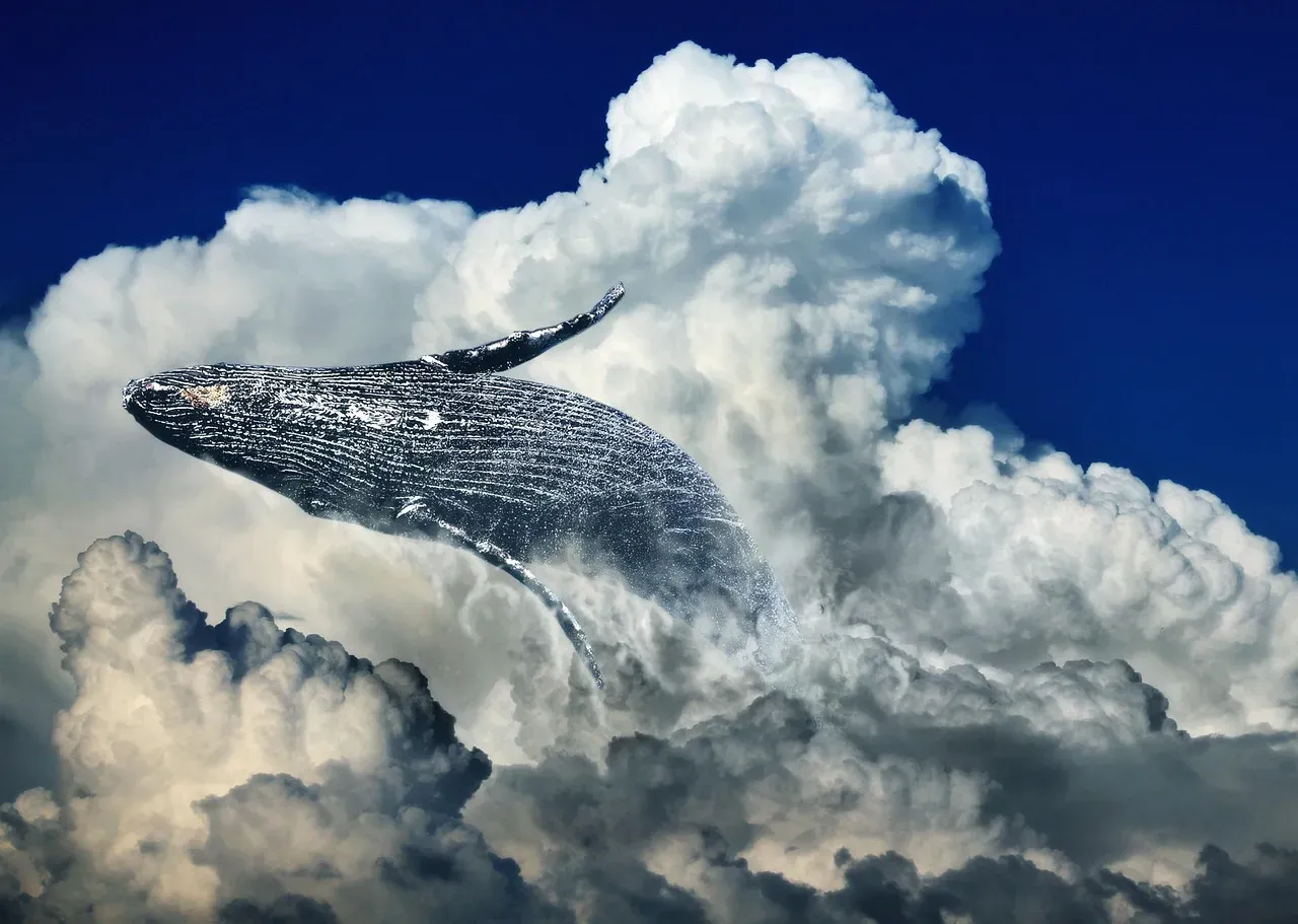 Pisces – The Dreaming Whale (Image Credits: Pixabay)