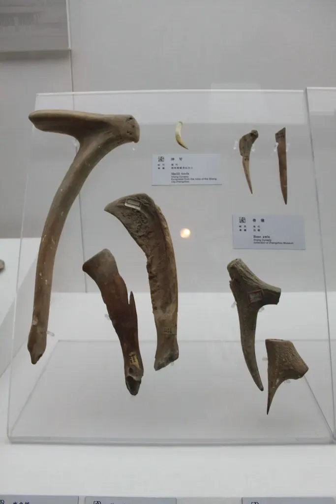 The Bone Tool Factory That Rewrote the Cognitive Timeline (Image Credits: Flickr)