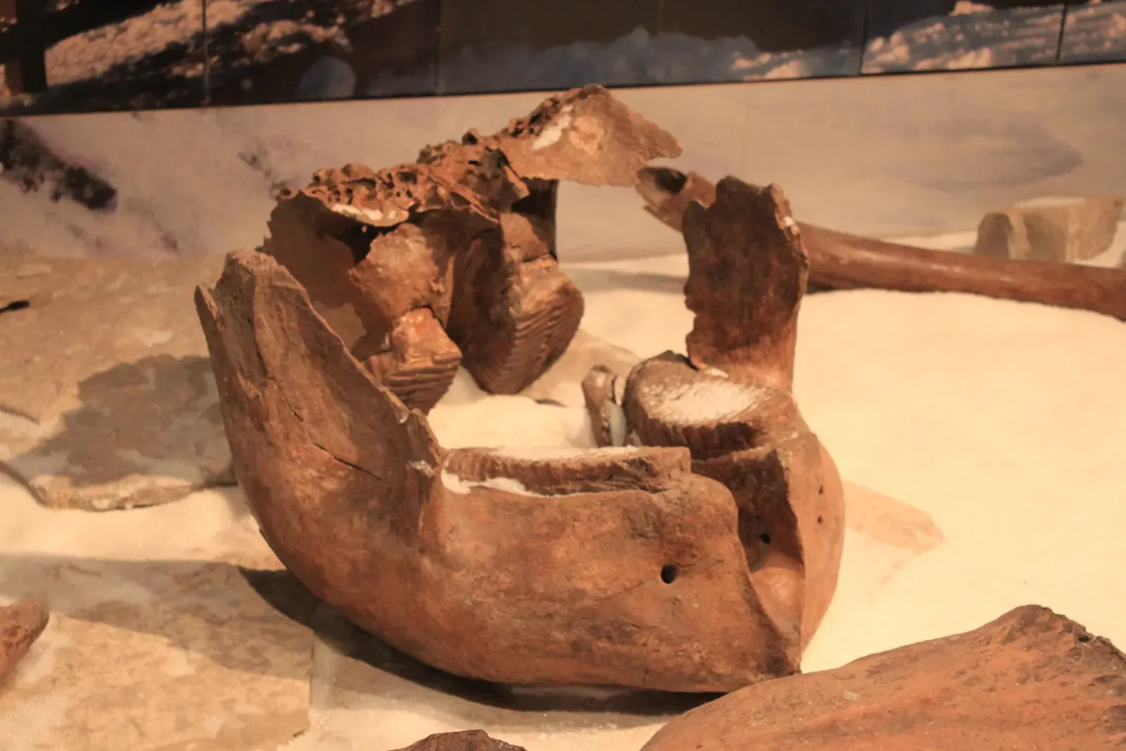 Michigan's Farmer and His Unexpected Harvest (Image Credits: Wikimedia)