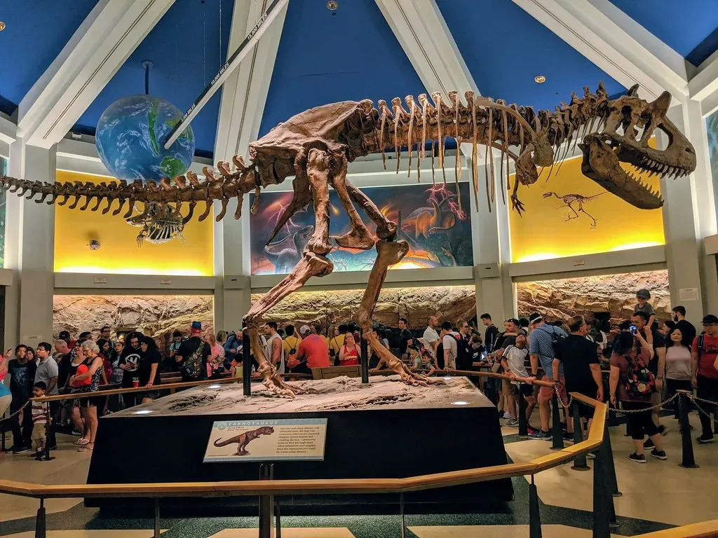 3. Tails Were Precision Balancing Machines, Not Just Heavy Clubs (edenpictures, Flickr, CC BY 2.0)