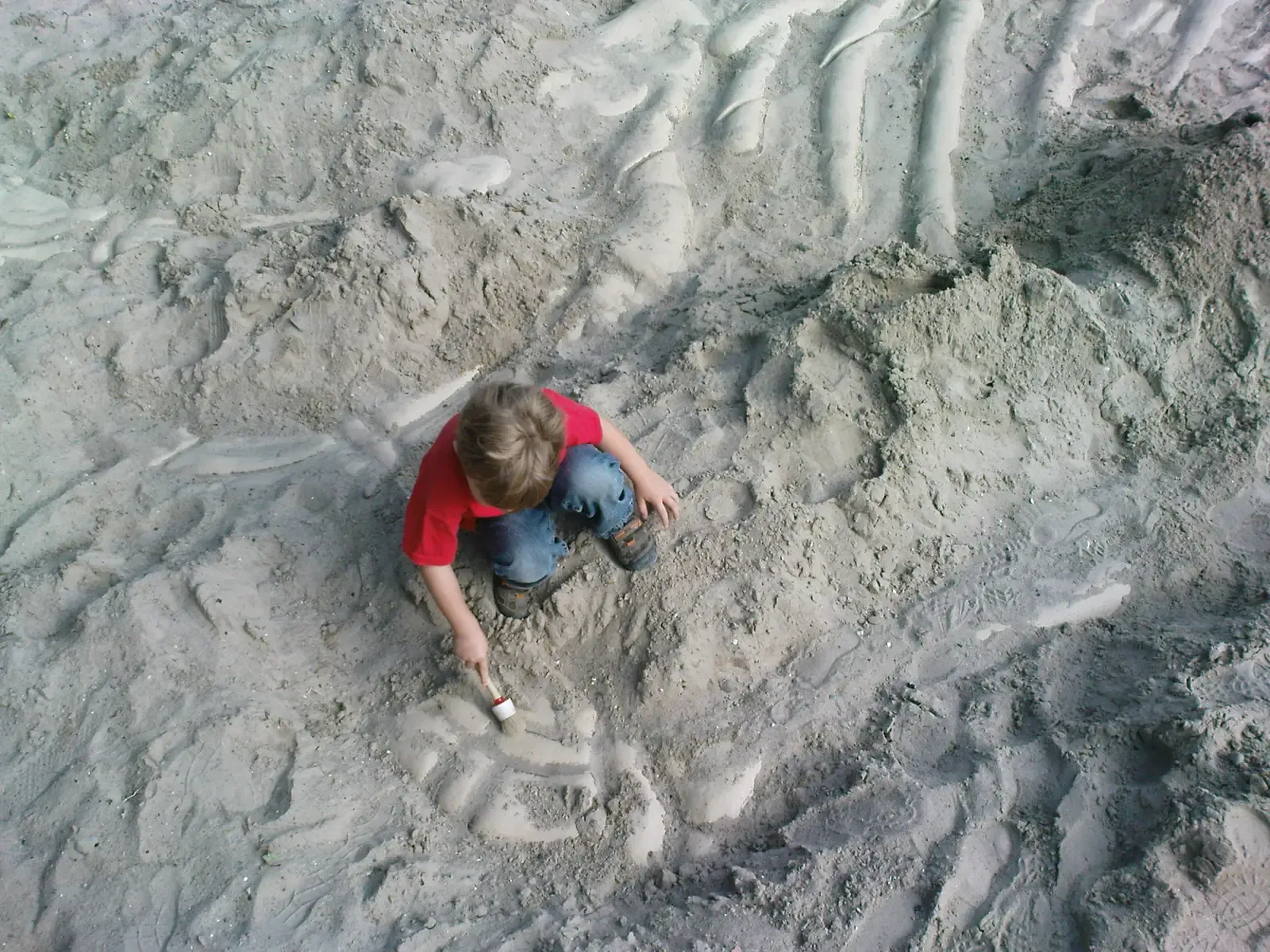 Africa's Untold Dinosaur Story Is Just Beginning (Image Credits: Wikimedia)