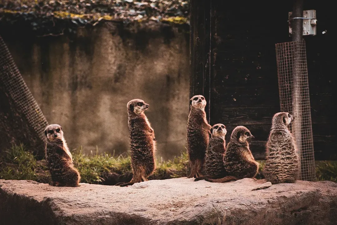 7. Conscious Perception and Social Minds: From Raw Data to Experience (Image Credits: Unsplash)