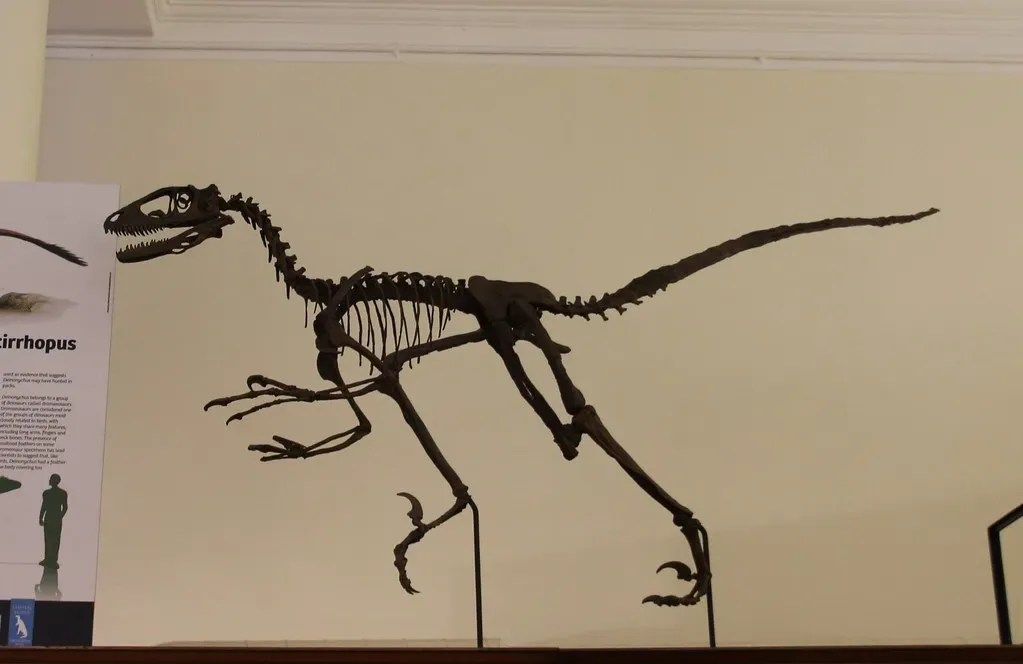 The Terrible Claw and the Athlete’s Body (orangeaurochs, Flickr, CC BY 2.0)