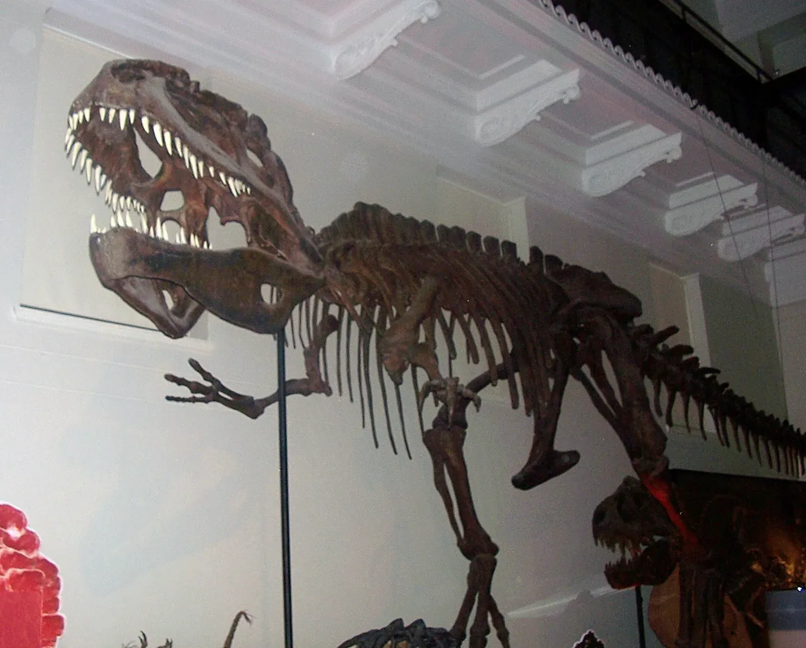 8. Arms That Were Not Quite as Ridiculous as T. Rex’s (Own work (Original text: I created this work entirely by myself.), CC BY-SA 3.0)