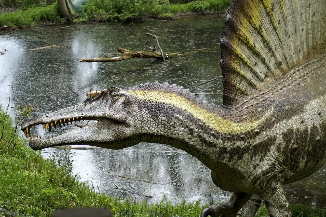 Spinosaurus: The Sail-Backed Swamp Stalker (Image Credits: Pixabay)