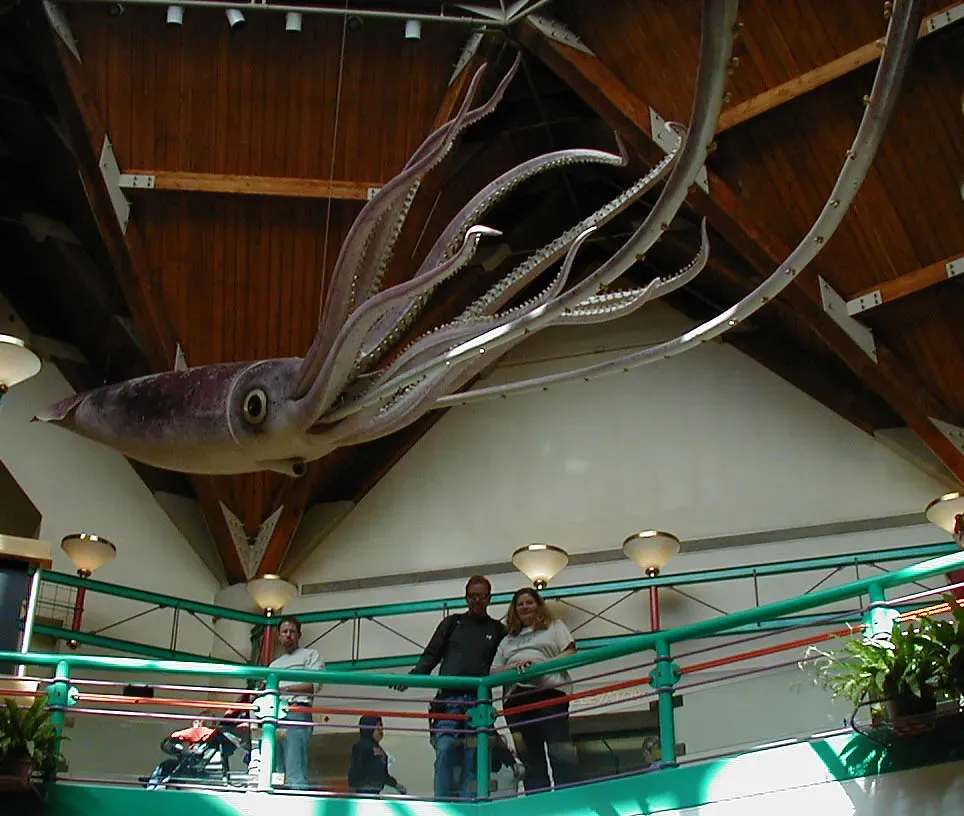 Cephalopod Nightmares: From Giant Orthocones to Colossal Squid (guano, Flickr, CC BY-SA 2.0)