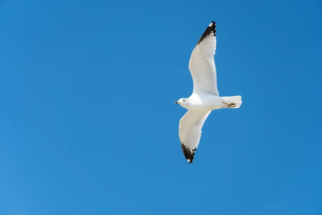 Conclusion: A Story That's Still Being Written (Image Credits: Unsplash)