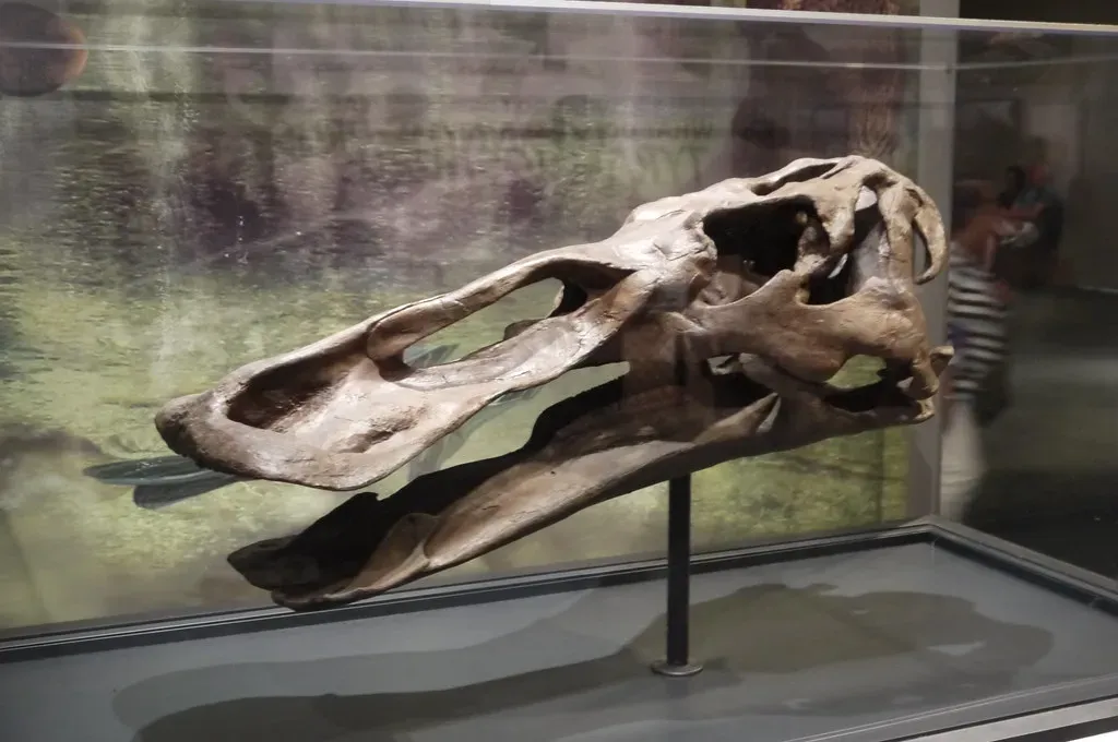 A Duck-Bill Built for Serious Eating (edenpictures, Flickr, CC BY 2.0)
