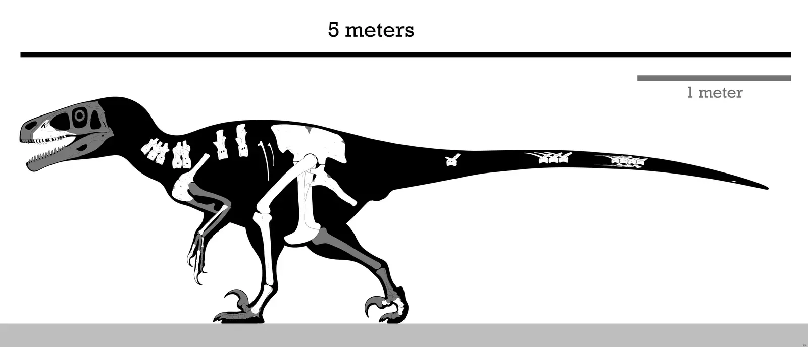 8. Utahraptor Is Still Teaching Us New Things (By PaleoNeolitic, CC BY-SA 4.0)