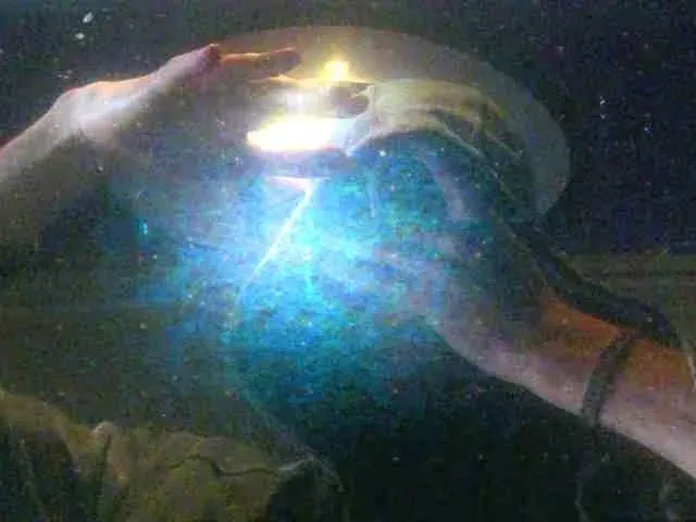 What Exactly Are the Akashic Records (Image Credits: Wikimedia)