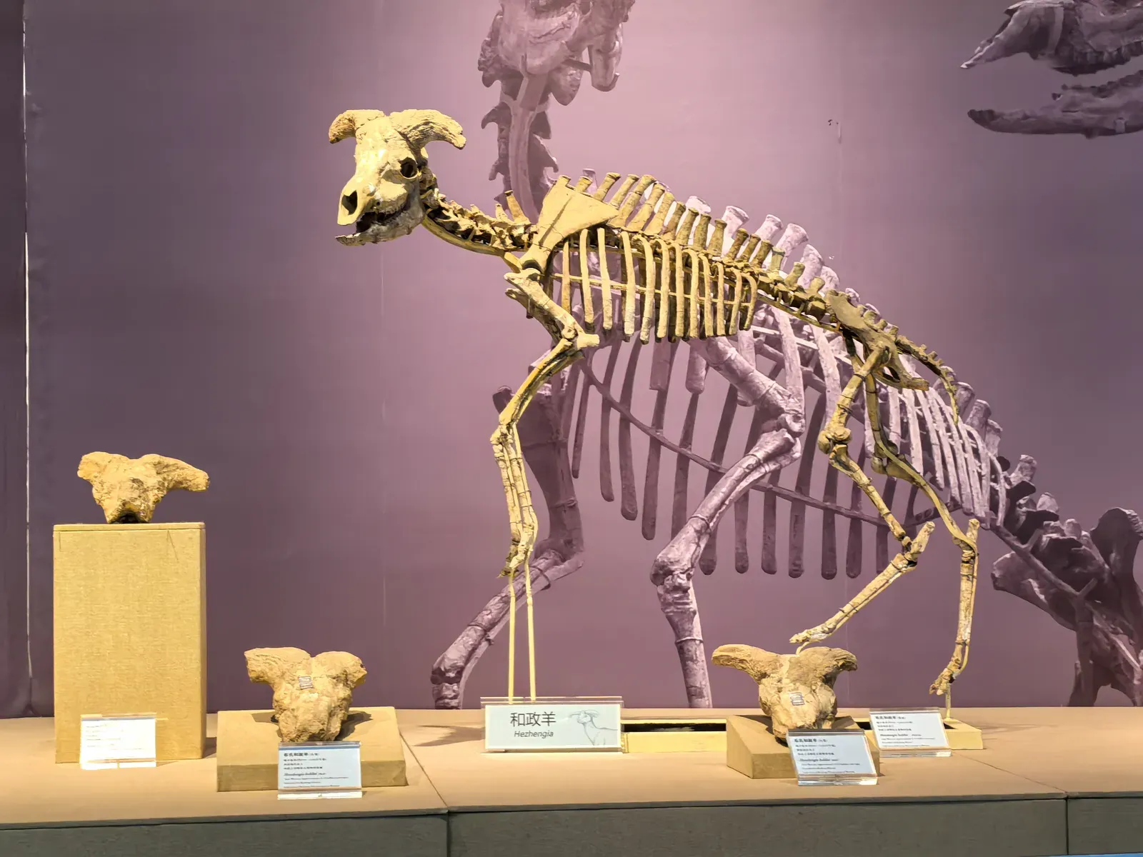 4. After the Asteroid: Mammals Explode Into Diversity (By STW932, CC0)