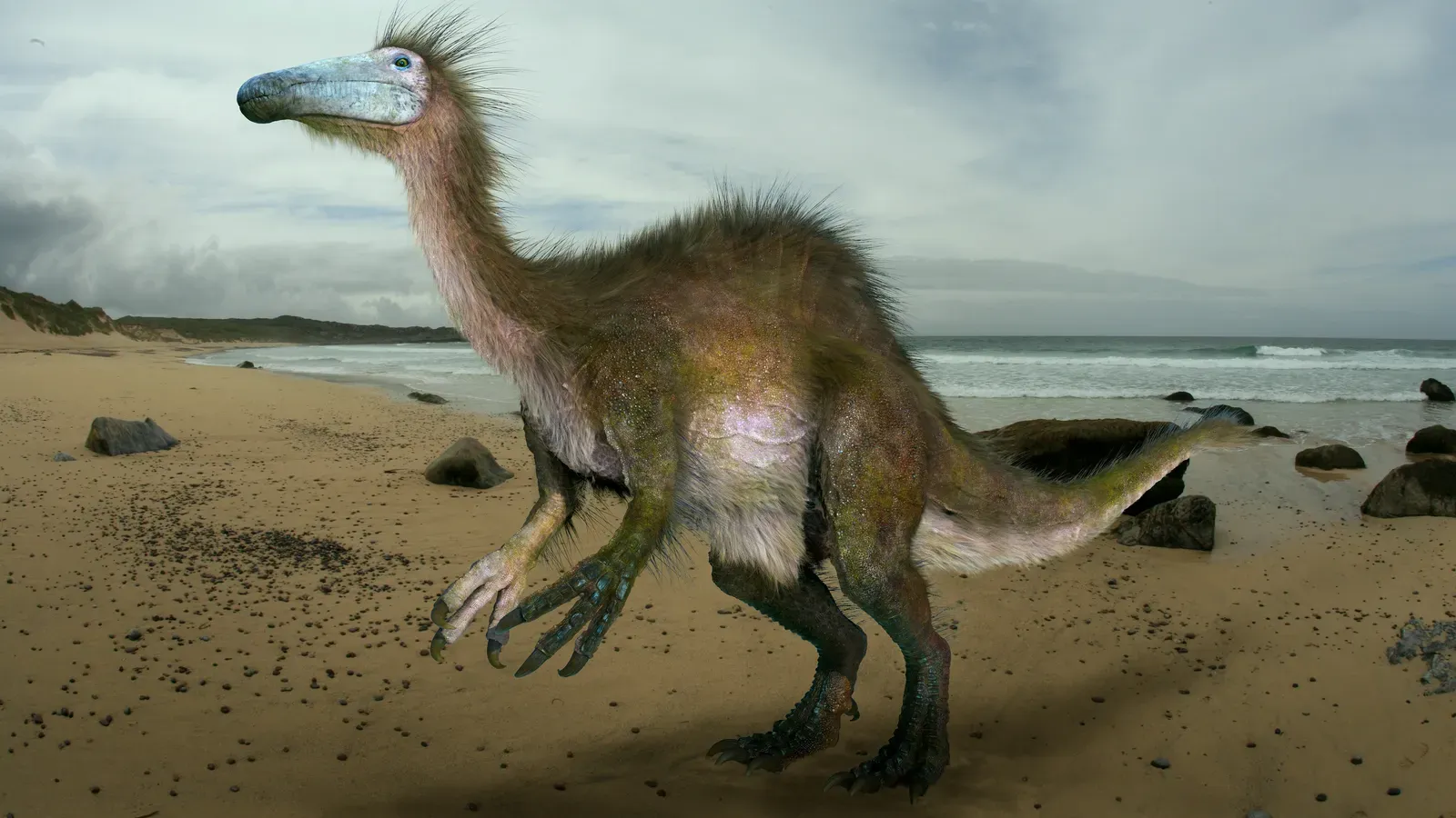 3. Deinocheirus: The “What On Earth Am I Looking At?” Giant (By Johnson Mortimer, CC BY 3.0)