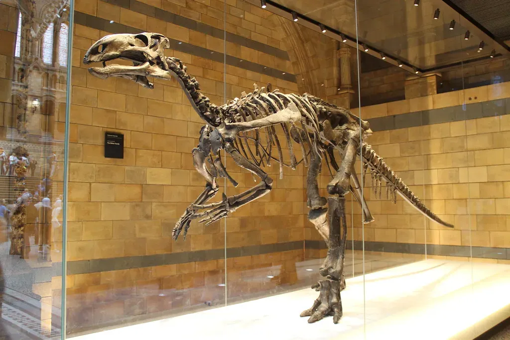 1. The First Recognized Dinosaur Bones Found by a Country Doctor’s Curiosity (Image Credits: Flickr)